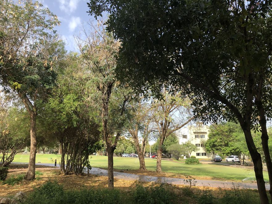 View From Our Balcony, The Gardens, Dubai, Uae