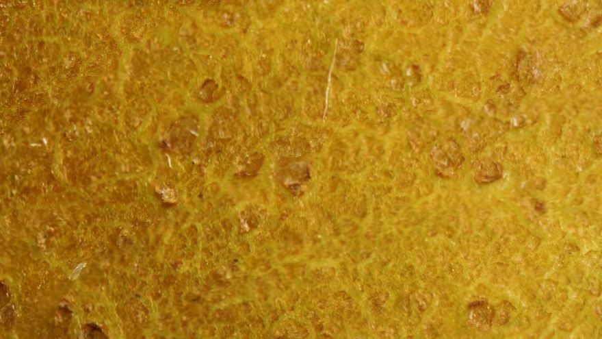 This Macro Lens Photography Project Shows Everyday Objects From A New Perspective This Macro Lens Photography Project Shows Everyday Objects From A New Perspective