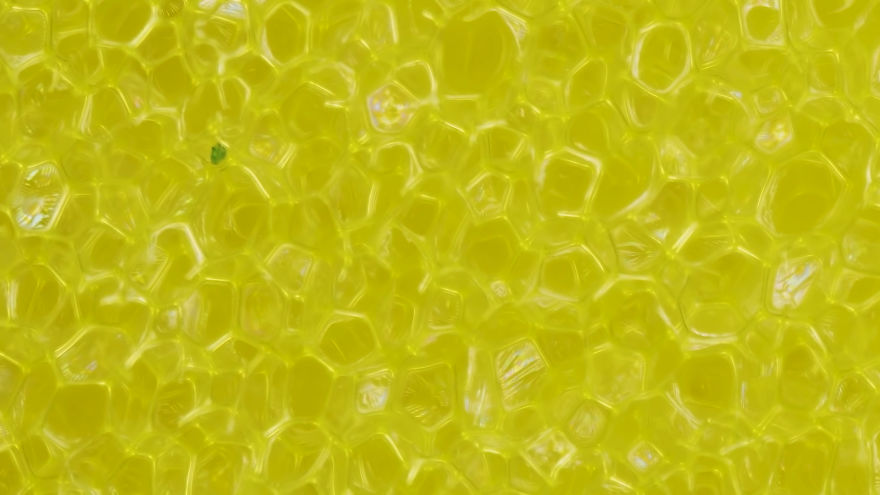 This Macro Lens Photography Project Shows Everyday Objects From A New Perspective