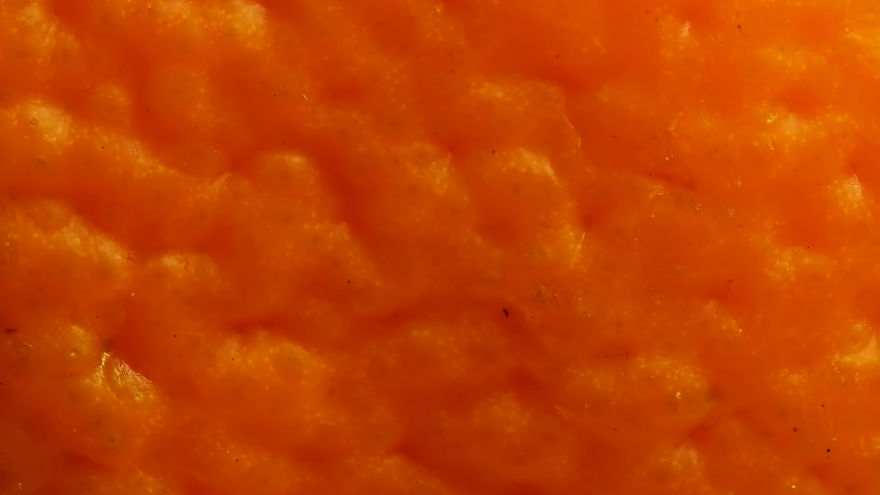 This Macro Lens Photography Project Shows Everyday Objects From A New Perspective