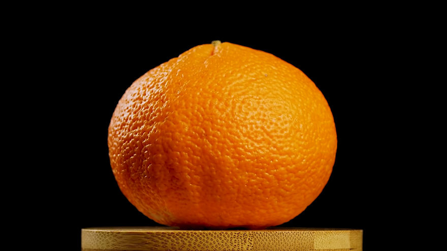 This Macro Lens Photography Project Shows Everyday Objects From A New Perspective