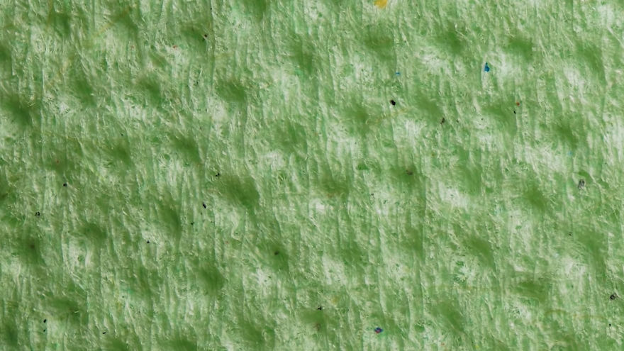 This Macro Lens Photography Project Shows Everyday Objects From A New Perspective