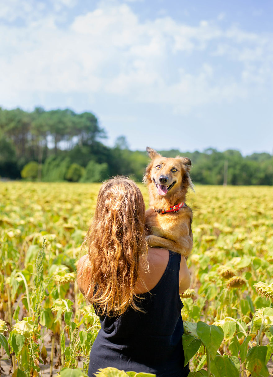 We Found Out My Traumatized Rescue Dog Feels Happy Among Flowers, So We Bring Her To All The Fields We Can Find (22 Pics) We Found Out My Traumatized Rescue Dog Feels Happy Among Flowers, So We Bring Her To All The Fields We Can Find (22 Pics)