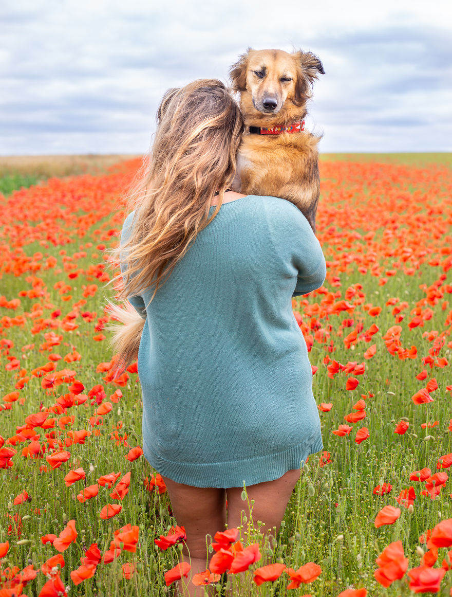 We Found Out My Traumatized Rescue Dog Feels Happy Among Flowers, So We Bring Her To All The Fields We Can Find (22 Pics) We Found Out My Traumatized Rescue Dog Feels Happy Among Flowers, So We Bring Her To All The Fields We Can Find (22 Pics)