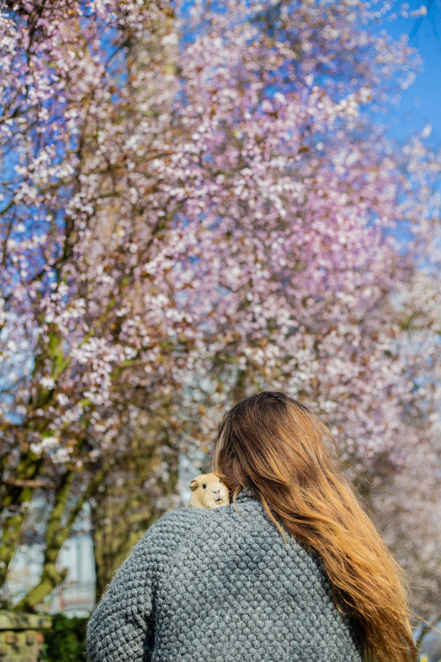 We Found Out My Traumatized Rescue Dog Feels Happy Among Flowers, So We Bring Her To All The Fields We Can Find (22 Pics) We Found Out My Traumatized Rescue Dog Feels Happy Among Flowers, So We Bring Her To All The Fields We Can Find (22 Pics)
