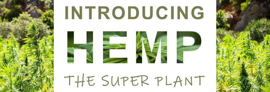 What I Learnt After Quitting My Job And Backpacking The World For 2 Years.