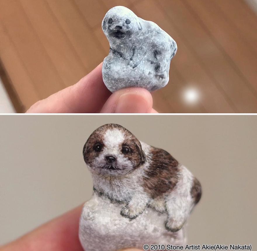 This Japanese Artist Turns Stones Into Art And The Result Is Incredible (New Pics)
