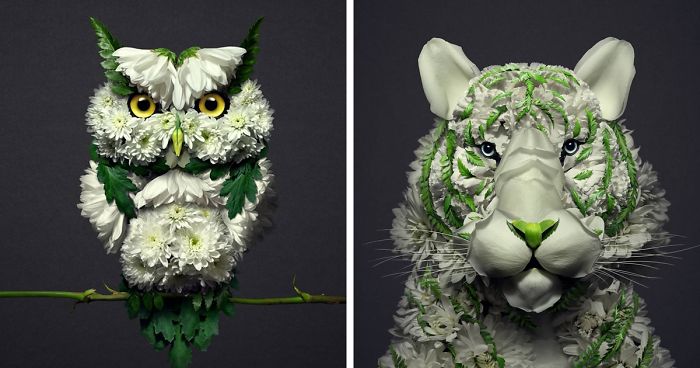 30 Delicate Animal Portraits Created From Things Found In Nature By Raku Inoue