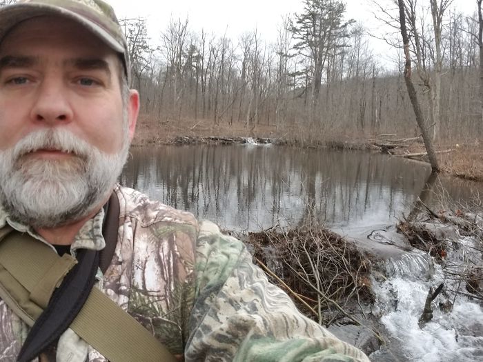 Man Films How Many Wild Animals Are Using This Log Bridge, Is Surprised It's That Many Different Kinds Man Films How Many Wild Animals Are Using This Log Bridge, Is Surprised It's That Many Different Kinds