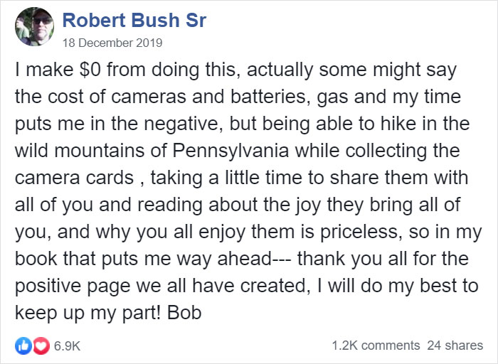 Man Films How Many Wild Animals Are Using This Log Bridge, Is Surprised It's That Many Different Kinds Man Films How Many Wild Animals Are Using This Log Bridge, Is Surprised It's That Many Different Kinds