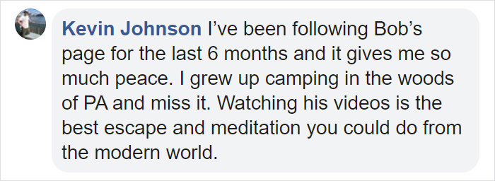 Man Films How Many Wild Animals Are Using This Log Bridge, Is Surprised It's That Many Different Kinds Man Films How Many Wild Animals Are Using This Log Bridge, Is Surprised It's That Many Different Kinds