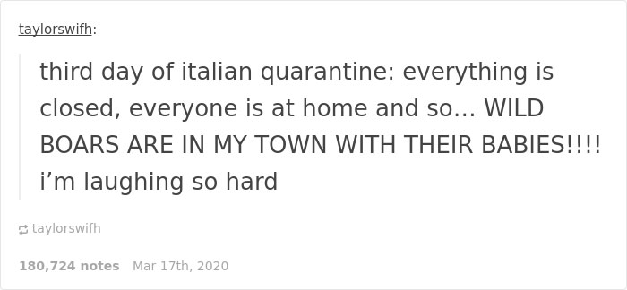 Animals Invade Cities As People Quarantine Themselves At Home