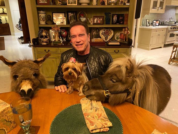 People Notice That Arnold Schwarzenegger Is Super Wholesome On Reddit, And Here Are 9 Examples People Notice That Arnold Schwarzenegger Is Super Wholesome On Reddit, And Here Are 9 Examples