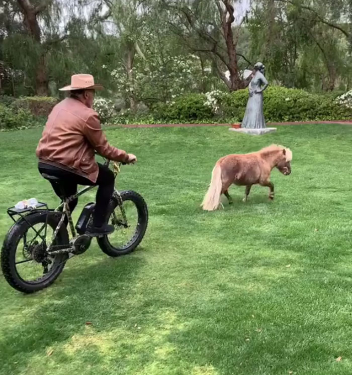 People Notice That Arnold Schwarzenegger Is Super Wholesome On Reddit, And Here Are 9 Examples