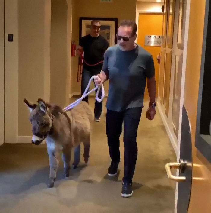 People Notice That Arnold Schwarzenegger Is Super Wholesome On Reddit, And Here Are 9 Examples People Notice That Arnold Schwarzenegger Is Super Wholesome On Reddit, And Here Are 9 Examples