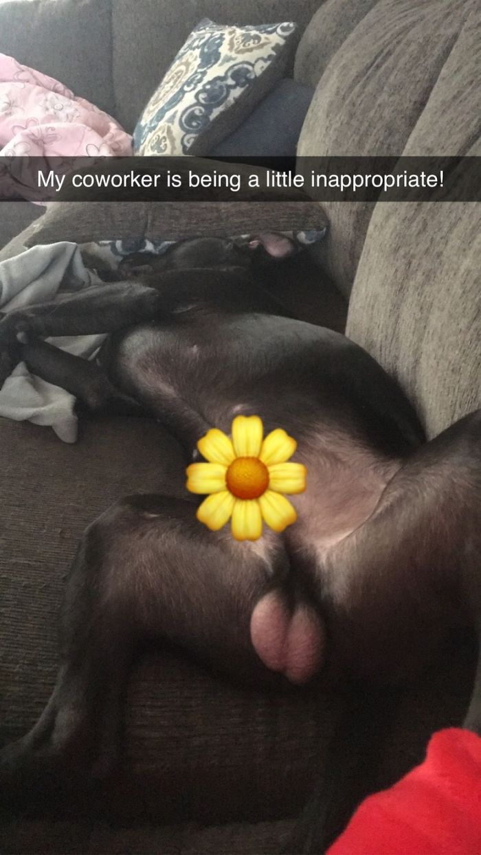 My Inappropriate Co-Worker...