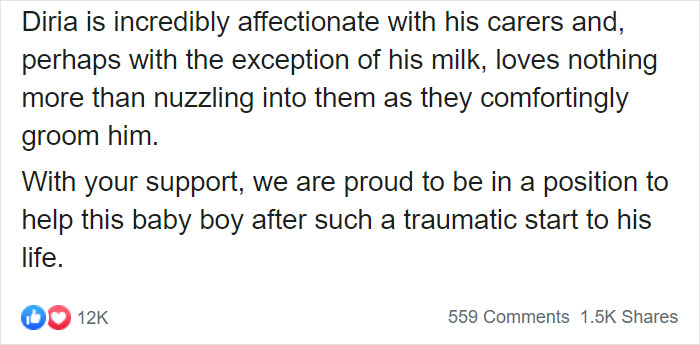 These Conservation Workers Use Special Suits To Take Care Of Baby Zebras