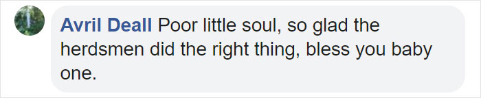 These Conservation Workers Use Special Suits To Take Care Of Baby Zebras