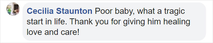 These Conservation Workers Use Special Suits To Take Care Of Baby Zebras