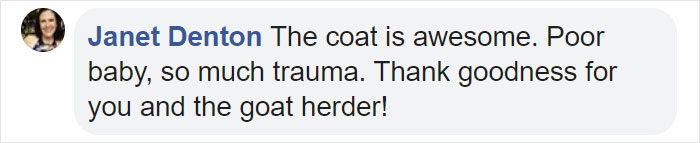 These Conservation Workers Use Special Suits To Take Care Of Baby Zebras