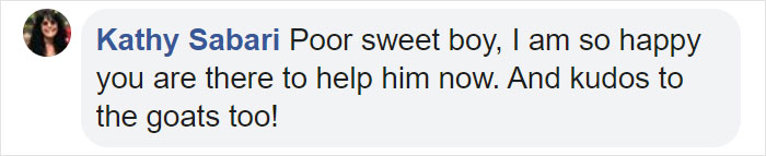 These Conservation Workers Use Special Suits To Take Care Of Baby Zebras