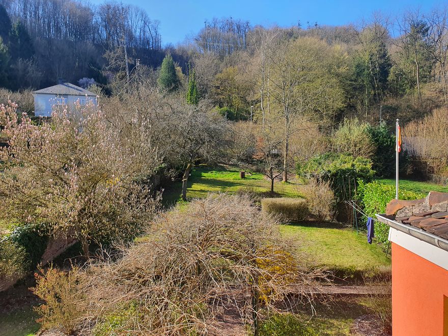 Saint Avold, Eastern France / Lorraine --- My Backyard