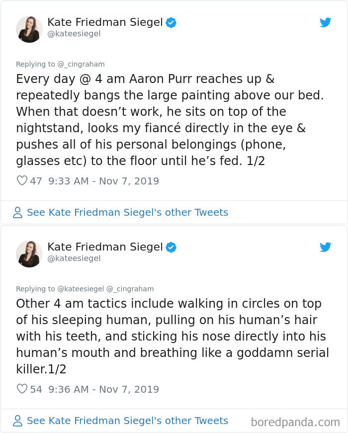 World-Worst-Cats-Christopher-Ingraham