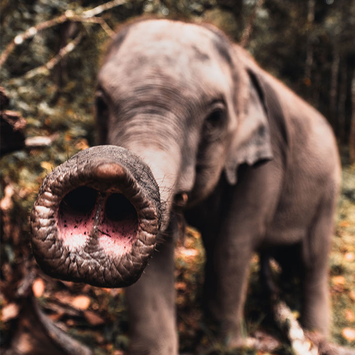 30 Of The Best Photos From Our #Wild2020 Contest To Brighten Your Day