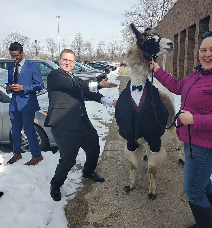 Guy Crashes His Sister’s Wedding With A Llama Just As He Promised 5 Years Ago Guy Crashes His Sister’s Wedding With A Llama Just As He Promised 5 Years Ago