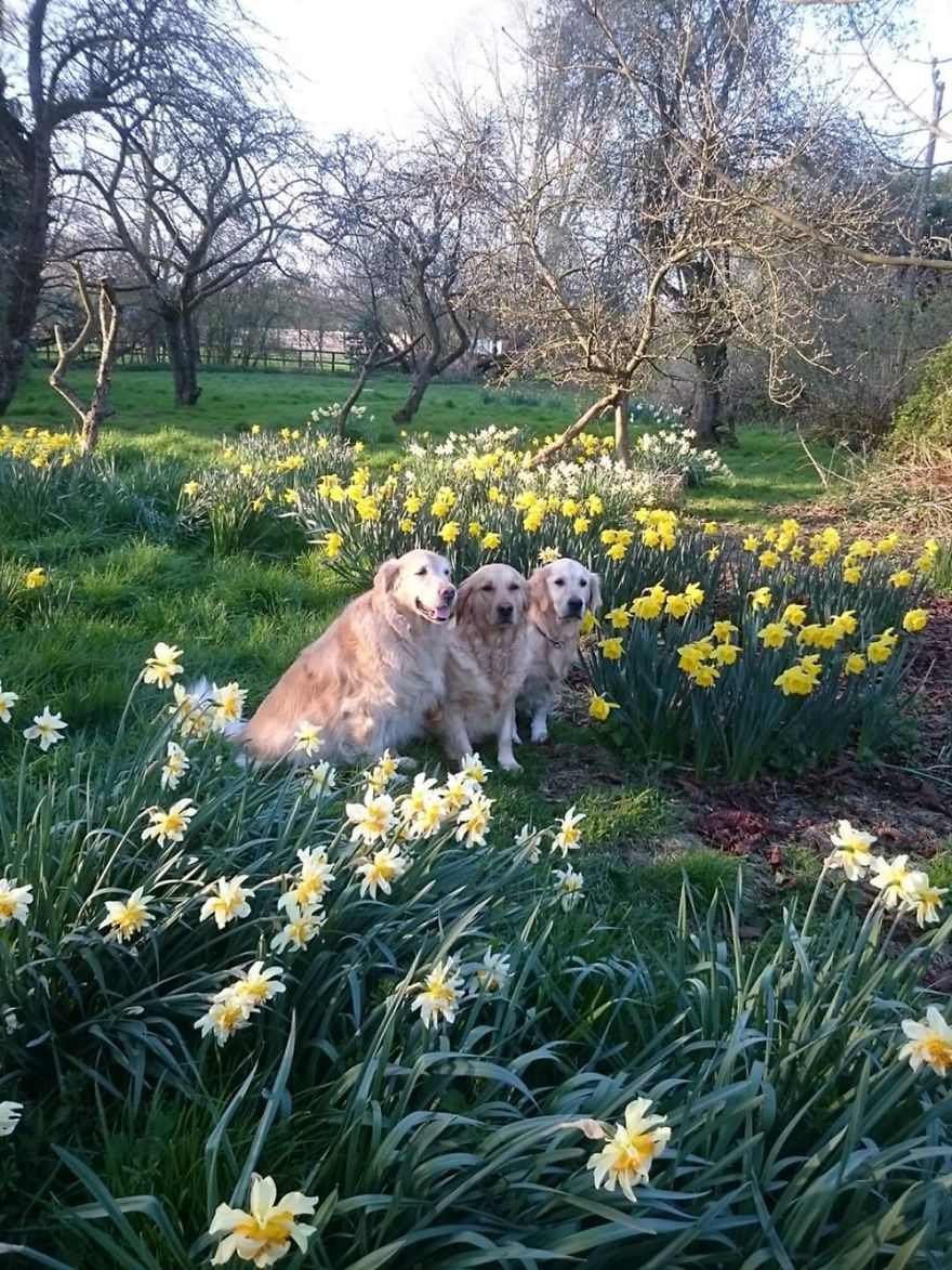 View From My Window - Essex, England