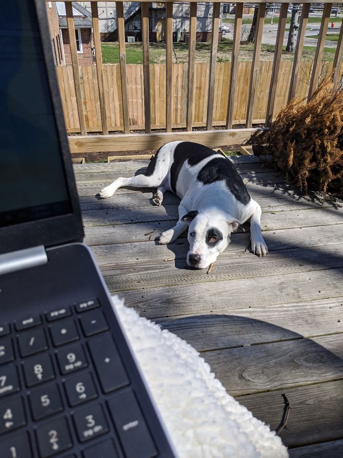 My Coworker Is Creepily Sitting At My Feet Staring At Me.
