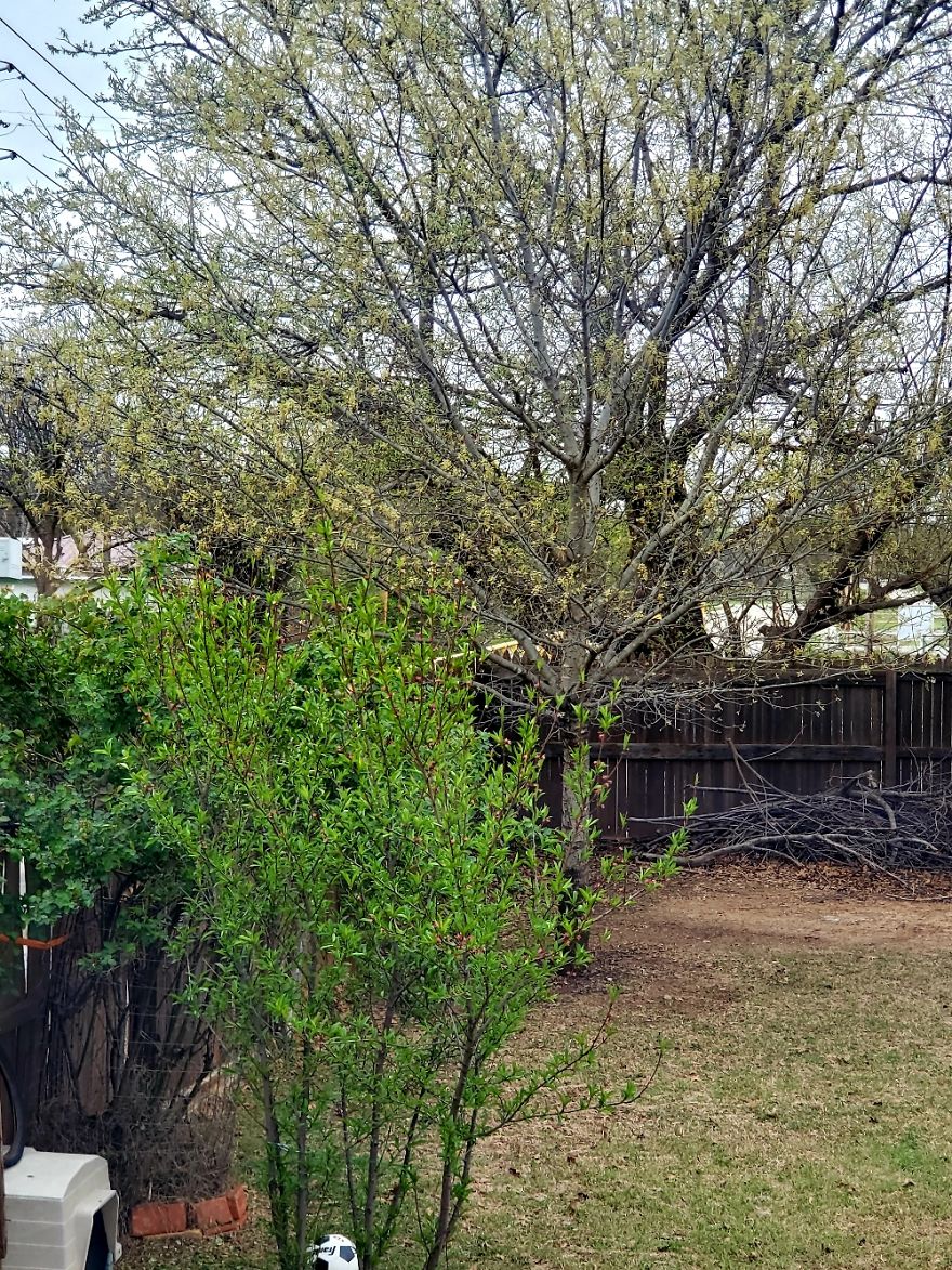 Out The Back Door, Burkburnett, Texas, USA