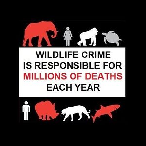 Protect All Wildlife