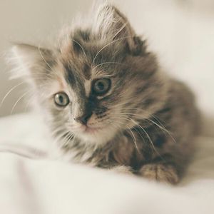 greatnessasuquo0 avatar