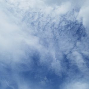 veronikasomborn avatar