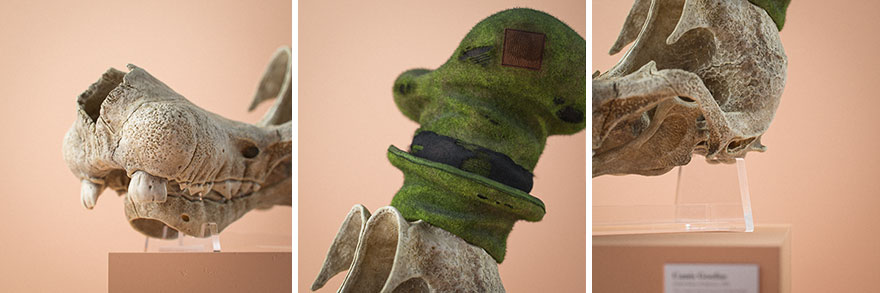 Anatomically Correct Skulls Of Popular Cartoon Characters By Czech Artist Filip Hodas Anatomically Correct Skulls Of Popular Cartoon Characters By Czech Artist Filip Hodas