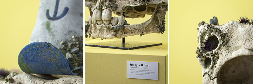 Anatomically Correct Skulls Of Popular Cartoon Characters By Czech Artist Filip Hodas Anatomically Correct Skulls Of Popular Cartoon Characters By Czech Artist Filip Hodas