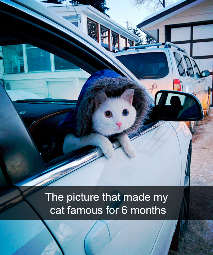 Cat-Snapchat-Funny