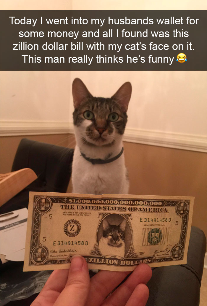 Cat-Snapchat-Funny