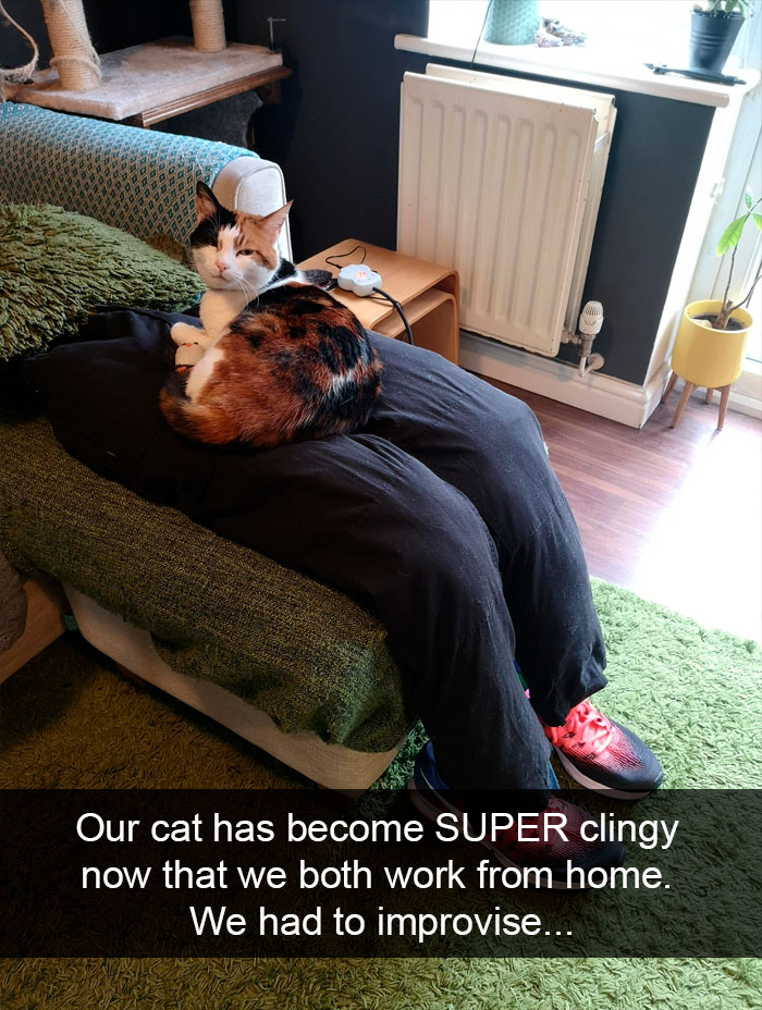 Cat-Snapchat-Funny