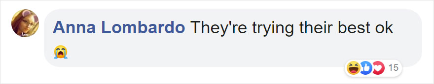 Photographers Get To Witness 5 Cheetahs Crossing A Flooded River Infested With Crocodiles