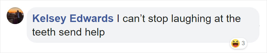 Photographers Get To Witness 5 Cheetahs Crossing A Flooded River Infested With Crocodiles