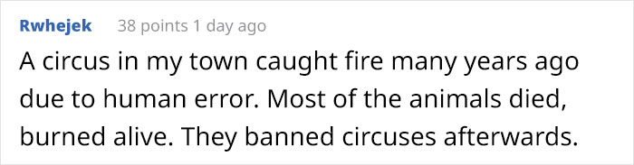 Artist Who Made People Cry With Her &lsquo;Good Boy&rsquo; And &lsquo;Black Cat&rsquo; Comics Is Back With Another Tearjerker