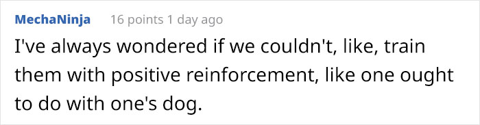 Artist Who Made People Cry With Her &lsquo;Good Boy&rsquo; And &lsquo;Black Cat&rsquo; Comics Is Back With Another Tearjerker