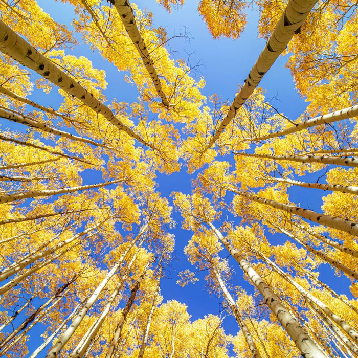 This Photographer Captured A Rare Sight—Frozen Waves At Dream Lake, Colorado This Photographer Captured A Rare Sight—Frozen Waves At Dream Lake, Colorado