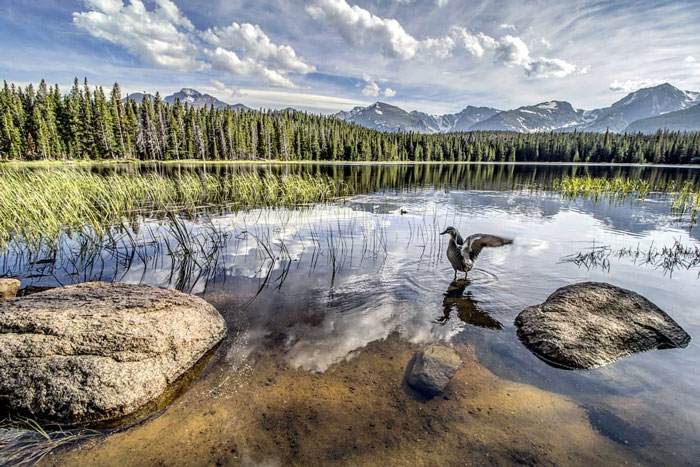 This Photographer Captured A Rare Sight—Frozen Waves At Dream Lake, Colorado This Photographer Captured A Rare Sight—Frozen Waves At Dream Lake, Colorado