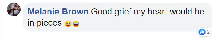 Corgi Gives His Owner And The Entire Internet A Mini Heart Attack After He Eats Some Dragon Fruit And Rests In The Mess