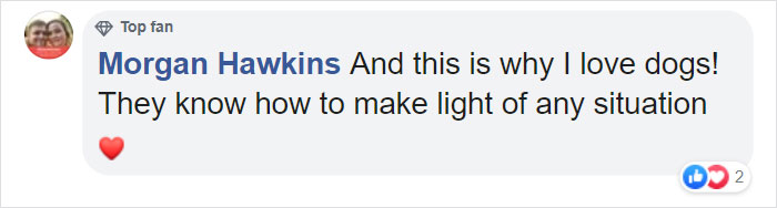 Corgi Gives His Owner And The Entire Internet A Mini Heart Attack After He Eats Some Dragon Fruit And Rests In The Mess