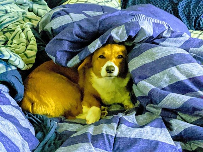 How Dare I Disrupt Her Sleep To Go To Work