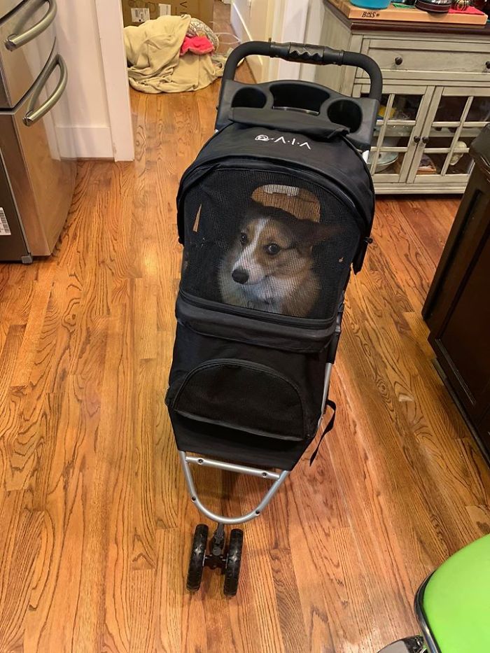 “Lucy, If You Want To Tour The Caverns With Us You Have To Ride In A Stroller....” “Mom, I Srsly No Amuseded!!!
